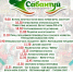 Приглашаем на народный праздник «Сабантуй – 2025» - Отдел культуры